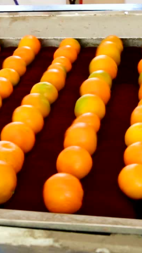 fruita